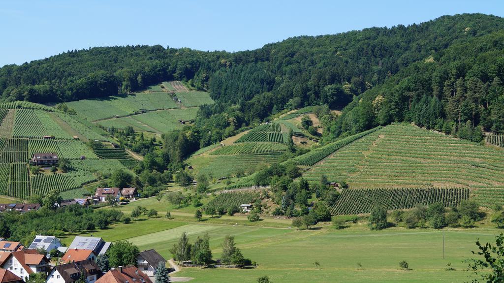 Hotel Schwarzenbergs Traube Glottertal Zewnętrze zdjęcie