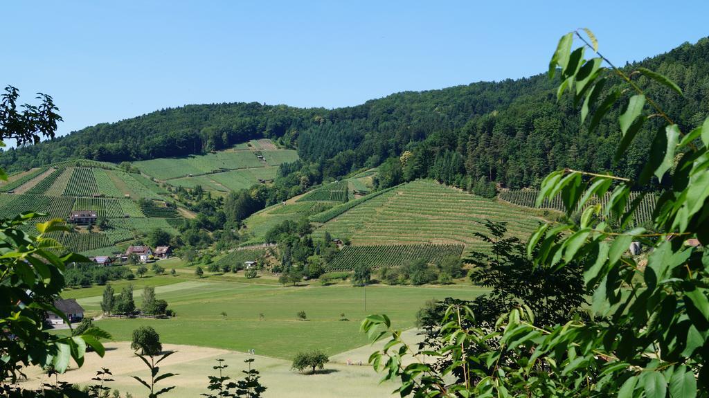 Hotel Schwarzenbergs Traube Glottertal Zewnętrze zdjęcie