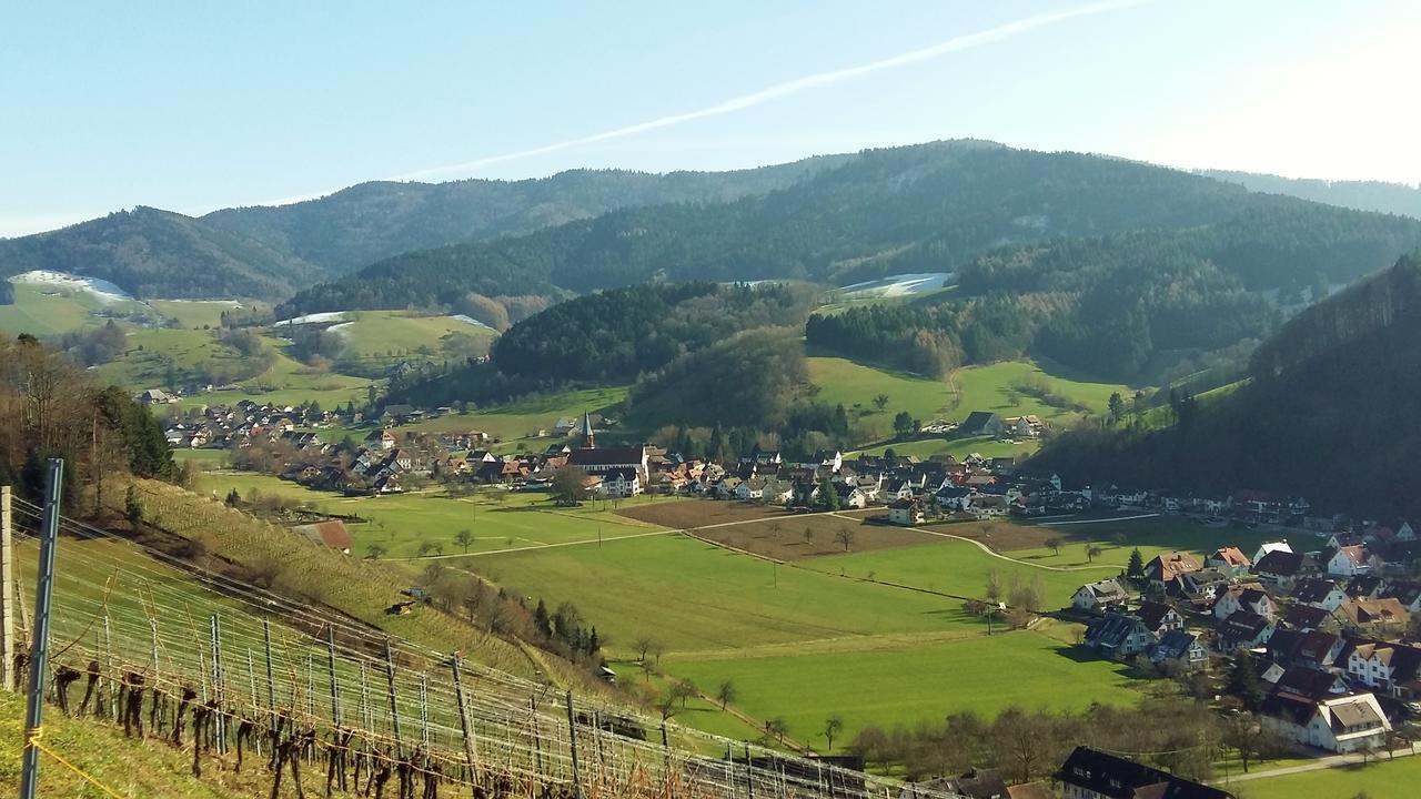 Hotel Schwarzenbergs Traube Glottertal Zewnętrze zdjęcie